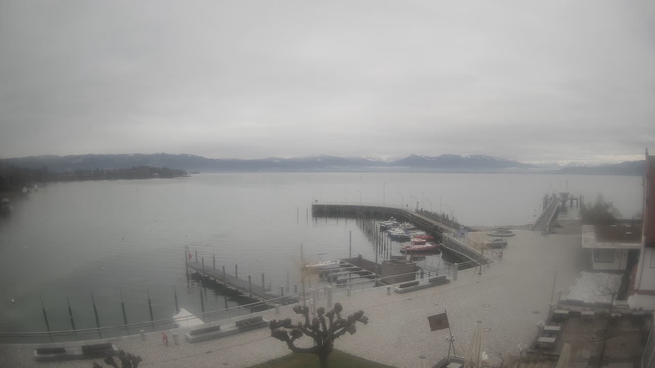 Archiv Foto Webcam Wasserburg am Bodensee: Hafen