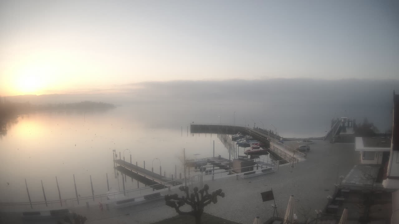 Archiv Foto Webcam Wasserburg am Bodensee: Hafen