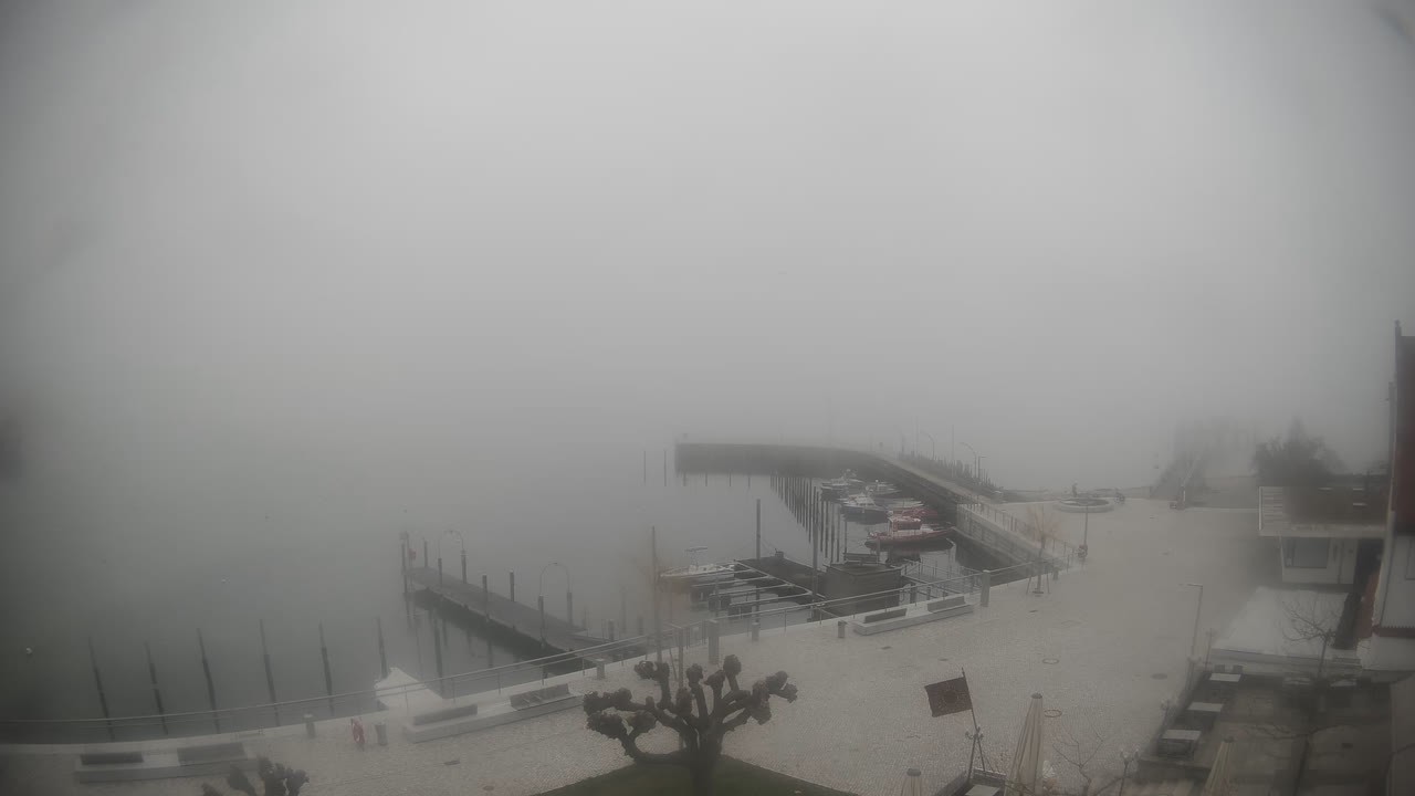 Archiv Foto Webcam Wasserburg am Bodensee: Hafen