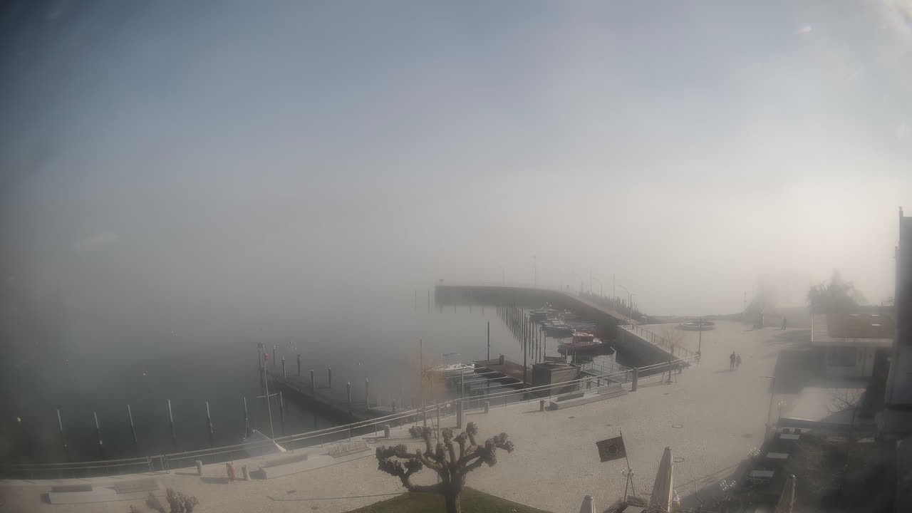 Archiv Foto Webcam Wasserburg am Bodensee: Hafen