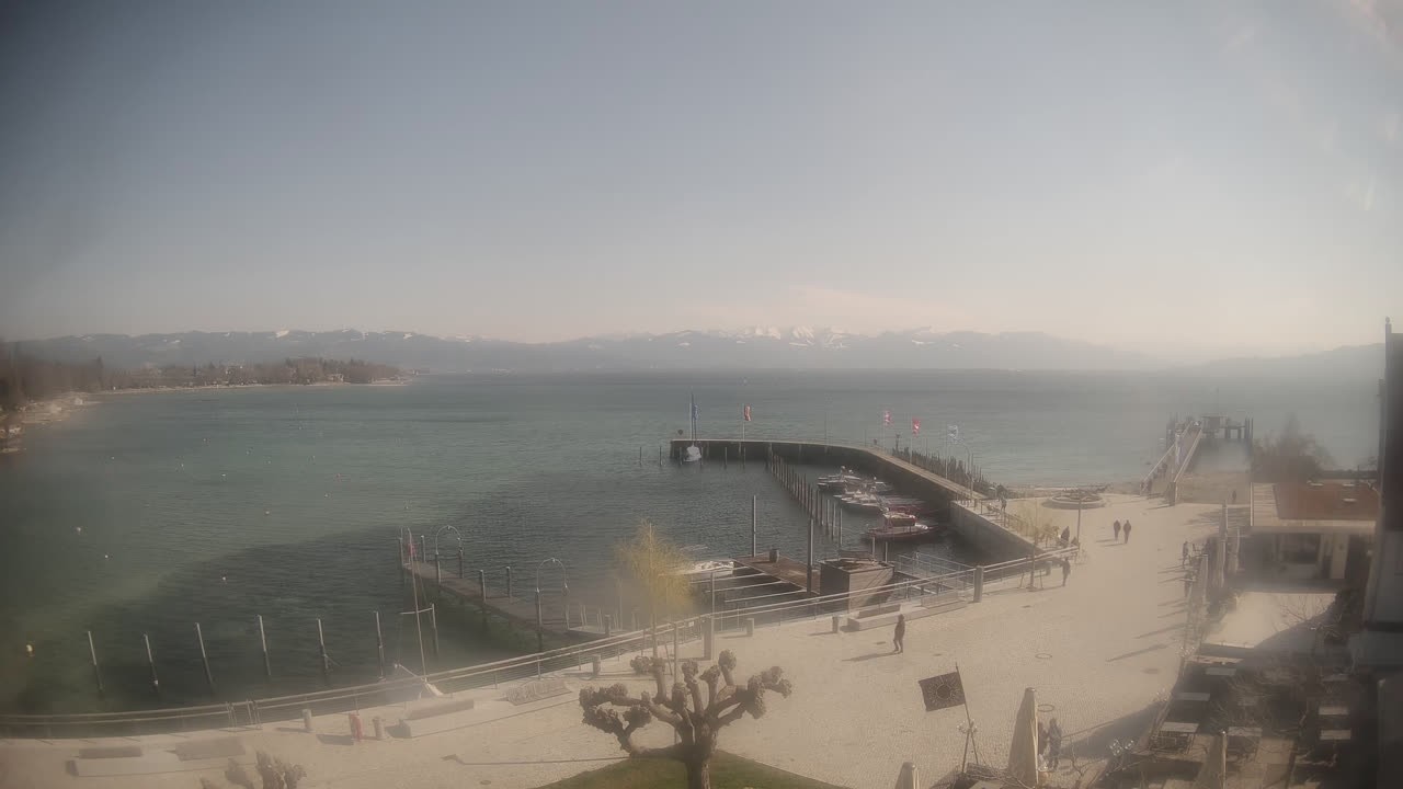 Archiv Foto Webcam Wasserburg am Bodensee: Hafen