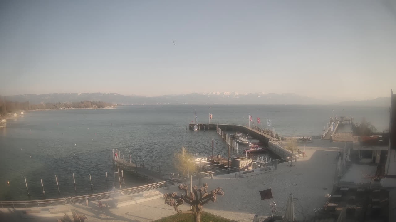 Archiv Foto Webcam Wasserburg am Bodensee: Hafen