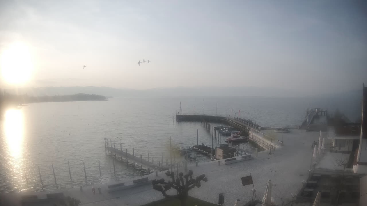 Archiv Foto Webcam Wasserburg am Bodensee: Hafen