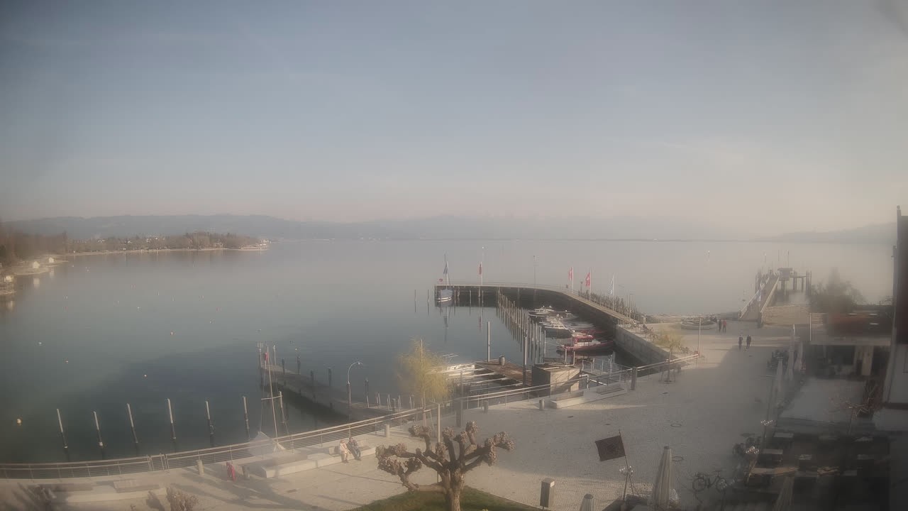 Archiv Foto Webcam Wasserburg am Bodensee: Hafen