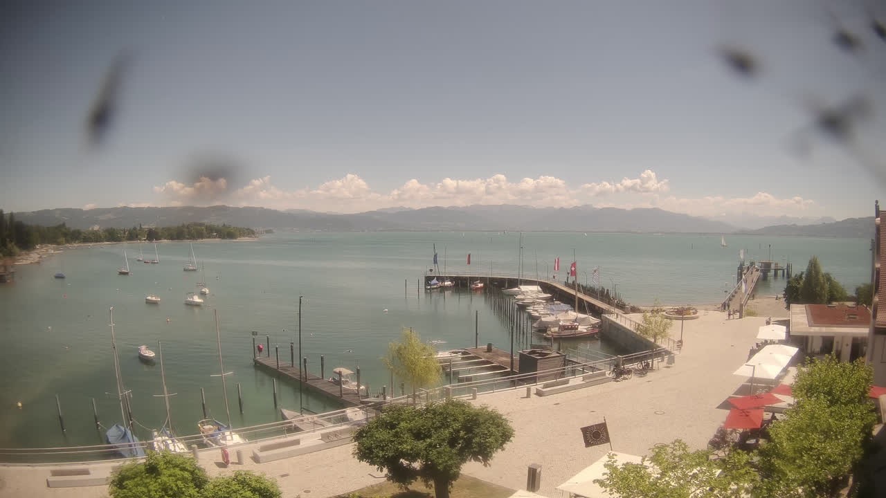 Archiv Foto Webcam Wasserburg am Bodensee: Hafen