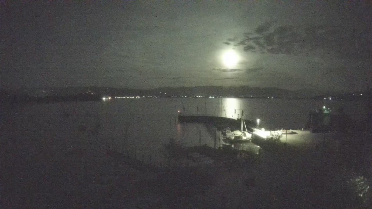 Archiv Foto Webcam Wasserburg am Bodensee: Hafen