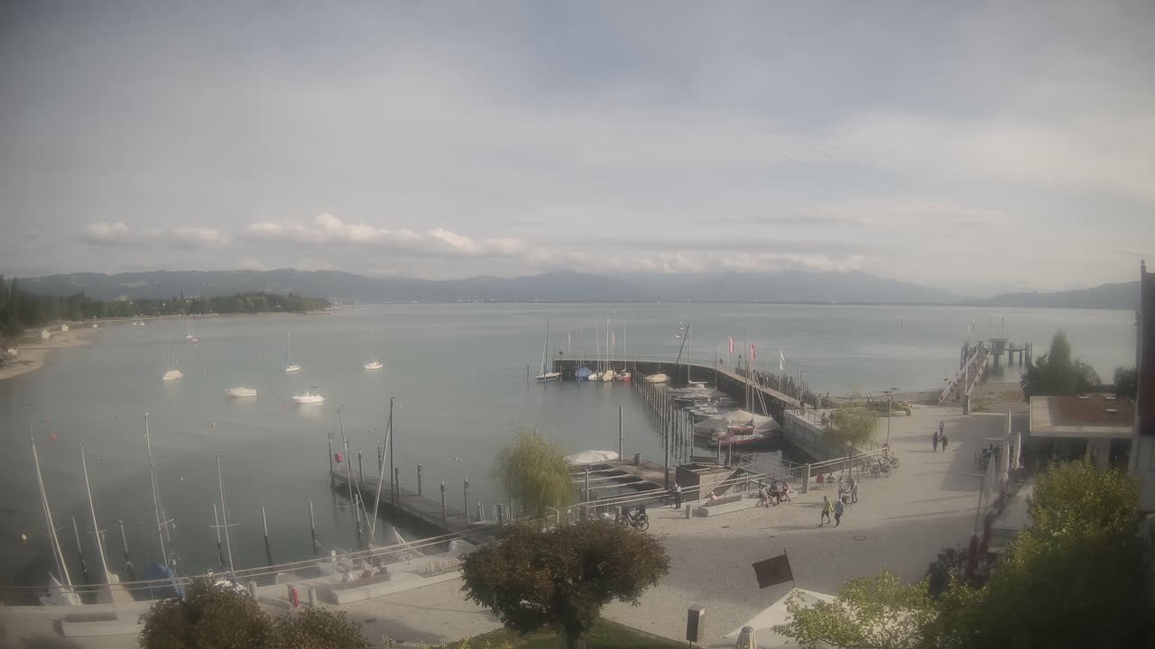 Archiv Foto Webcam Wasserburg am Bodensee: Hafen