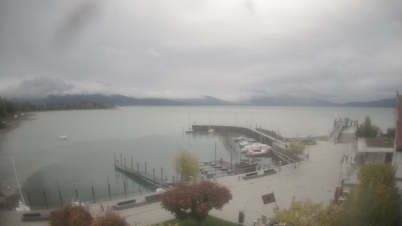 Archiv Foto Webcam Wasserburg am Bodensee: Hafen