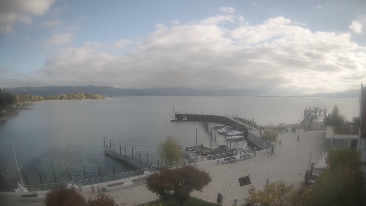 Archiv Foto Webcam Wasserburg am Bodensee: Hafen