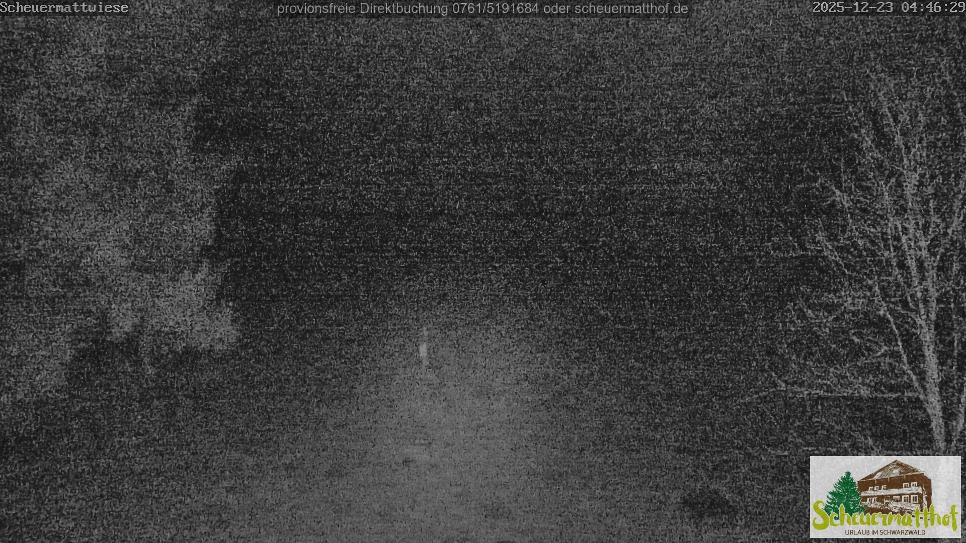 Archiv Foto Webcam Todtnauberg - Scheuermattwiese