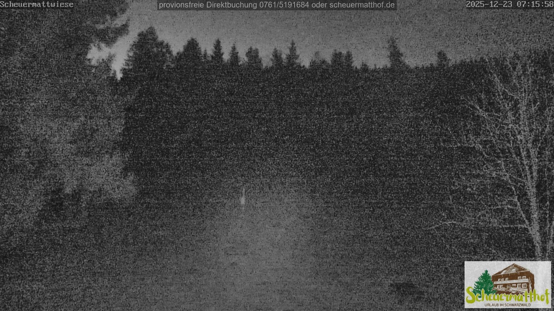 Archiv Foto Webcam Todtnauberg - Scheuermattwiese