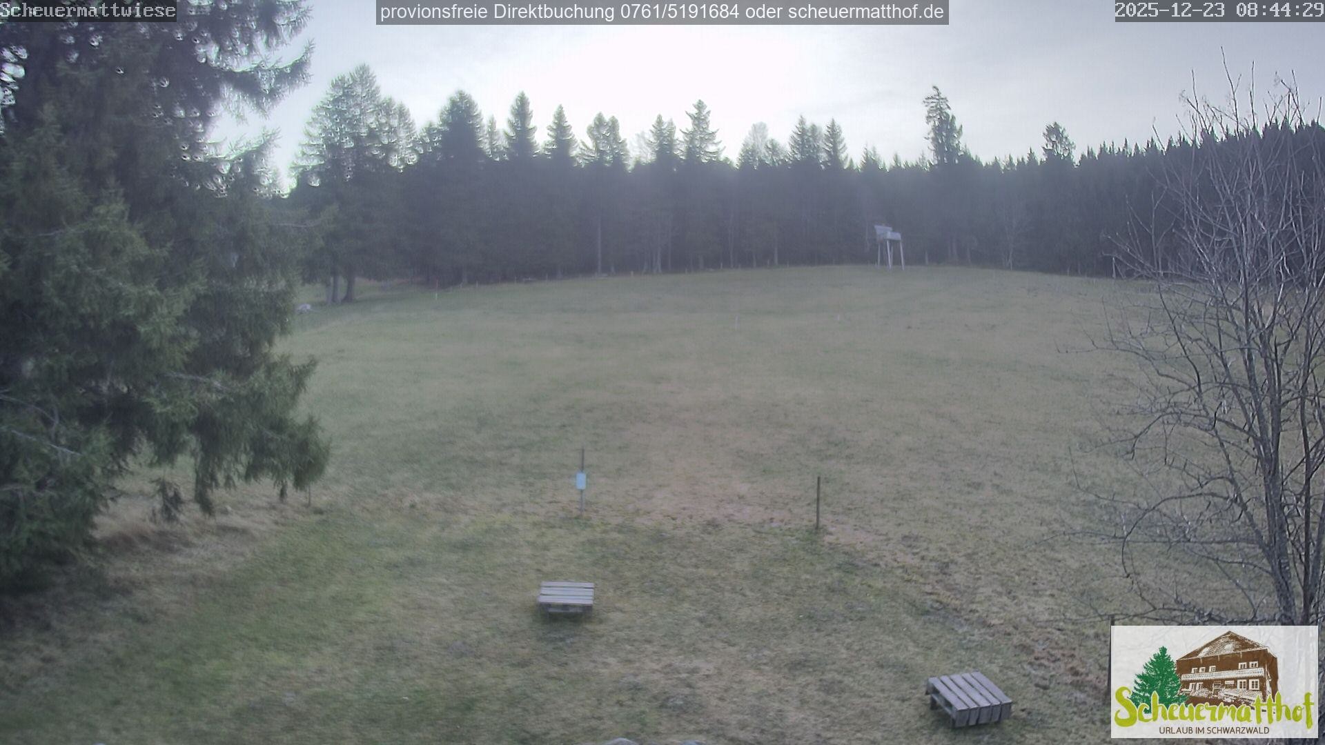 Archiv Foto Webcam Todtnauberg - Scheuermattwiese