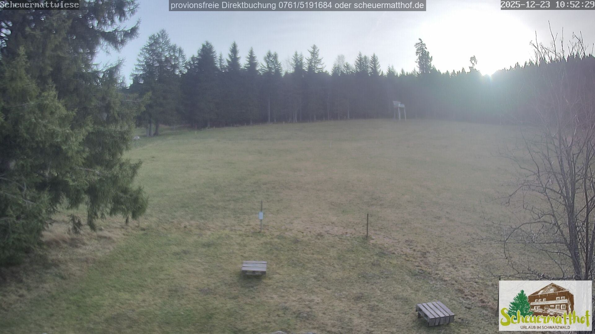 Archiv Foto Webcam Todtnauberg - Scheuermattwiese