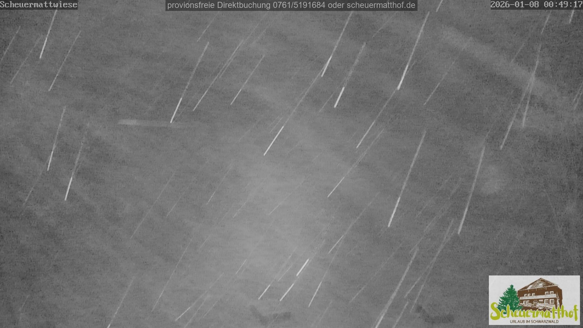 Archiv Foto Webcam Todtnauberg - Scheuermattwiese