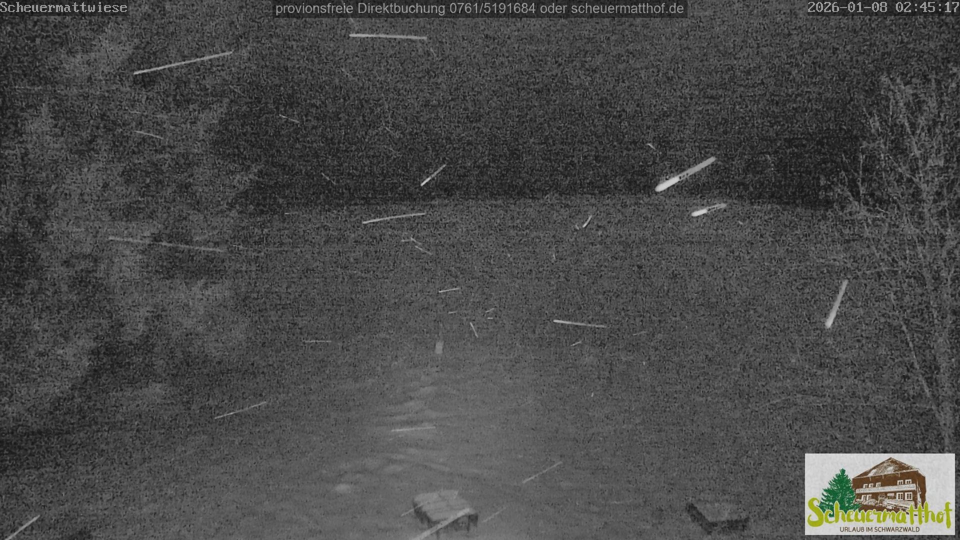 Archiv Foto Webcam Todtnauberg - Scheuermattwiese