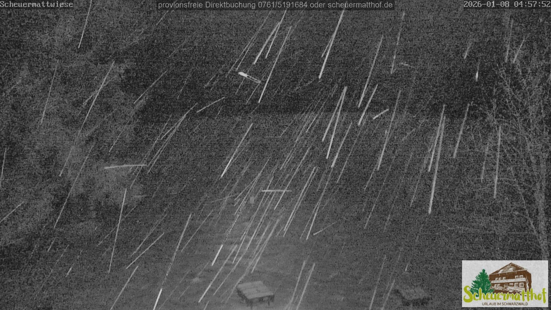 Archiv Foto Webcam Todtnauberg - Scheuermattwiese