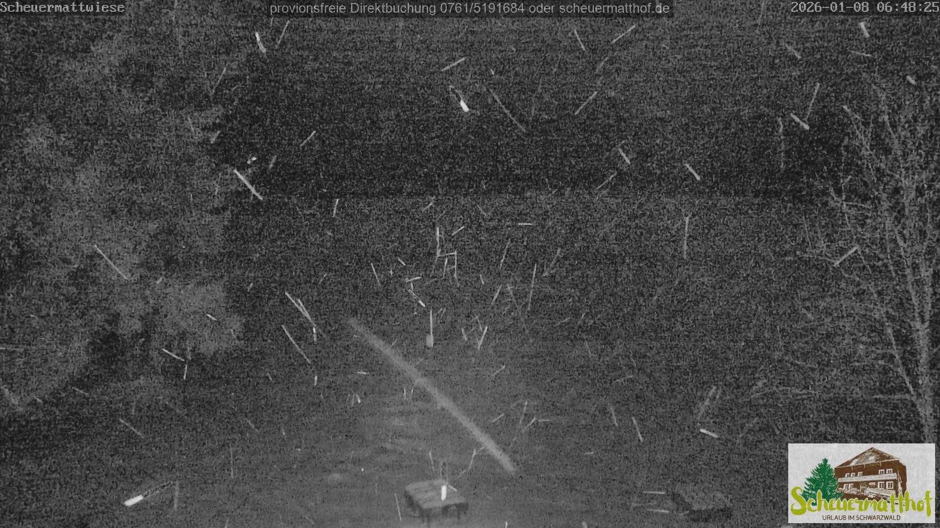 Archiv Foto Webcam Todtnauberg - Scheuermattwiese