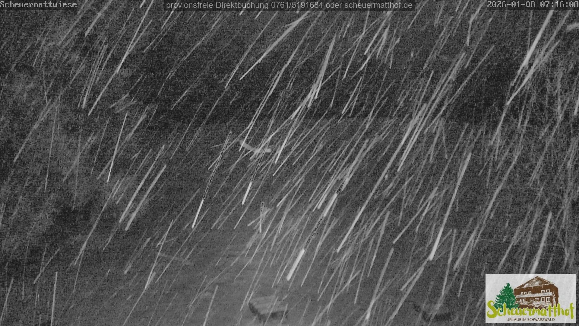 Archiv Foto Webcam Todtnauberg - Scheuermattwiese