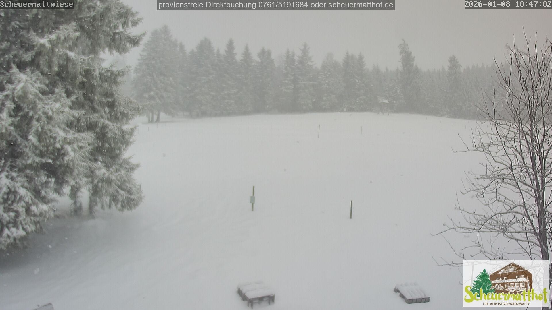 Archiv Foto Webcam Todtnauberg - Scheuermattwiese