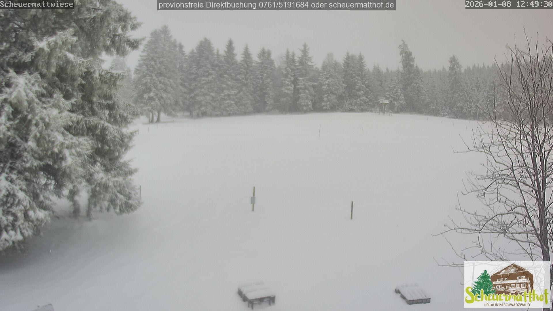 Archiv Foto Webcam Todtnauberg - Scheuermattwiese