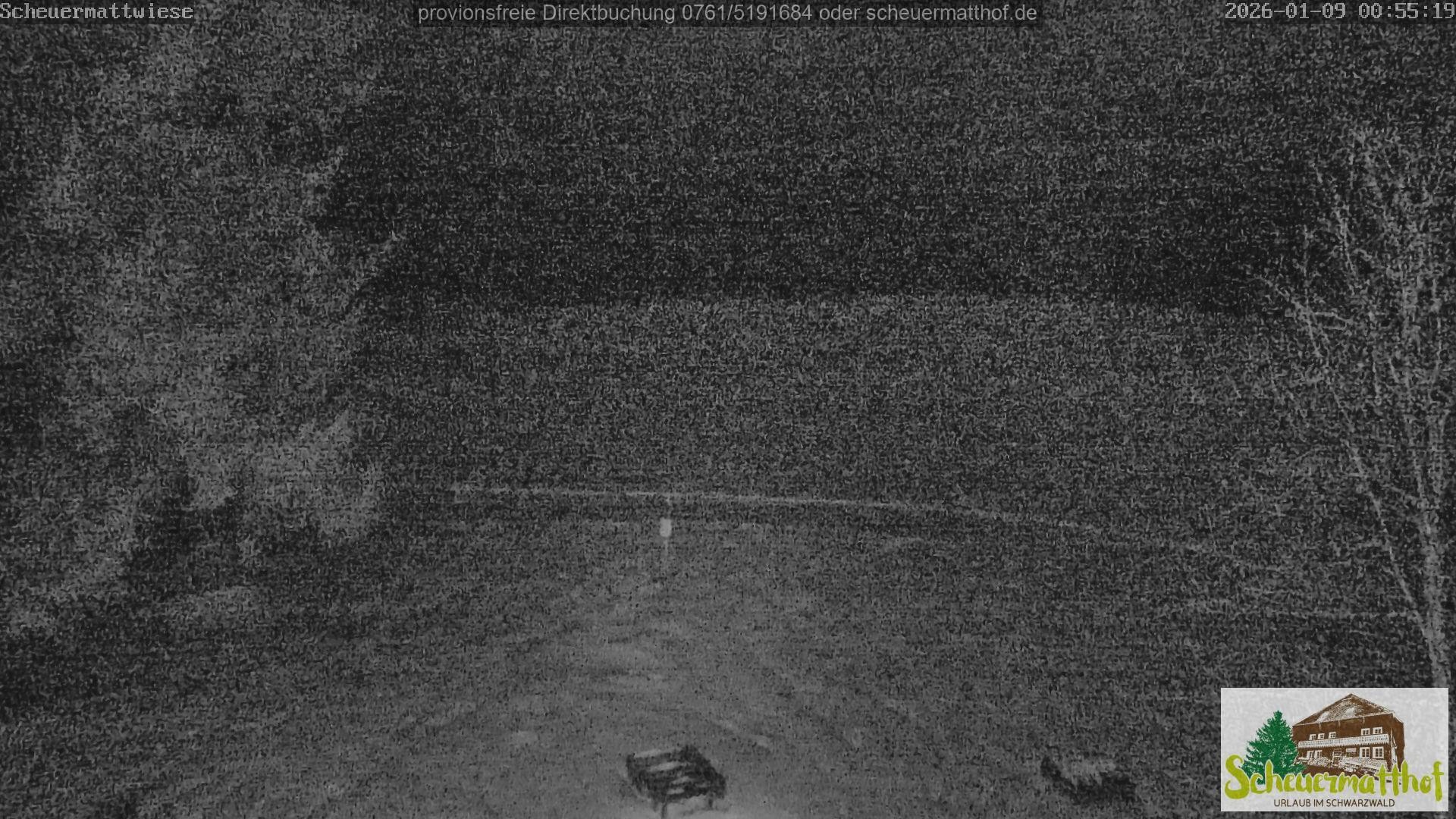 Archiv Foto Webcam Todtnauberg - Scheuermattwiese