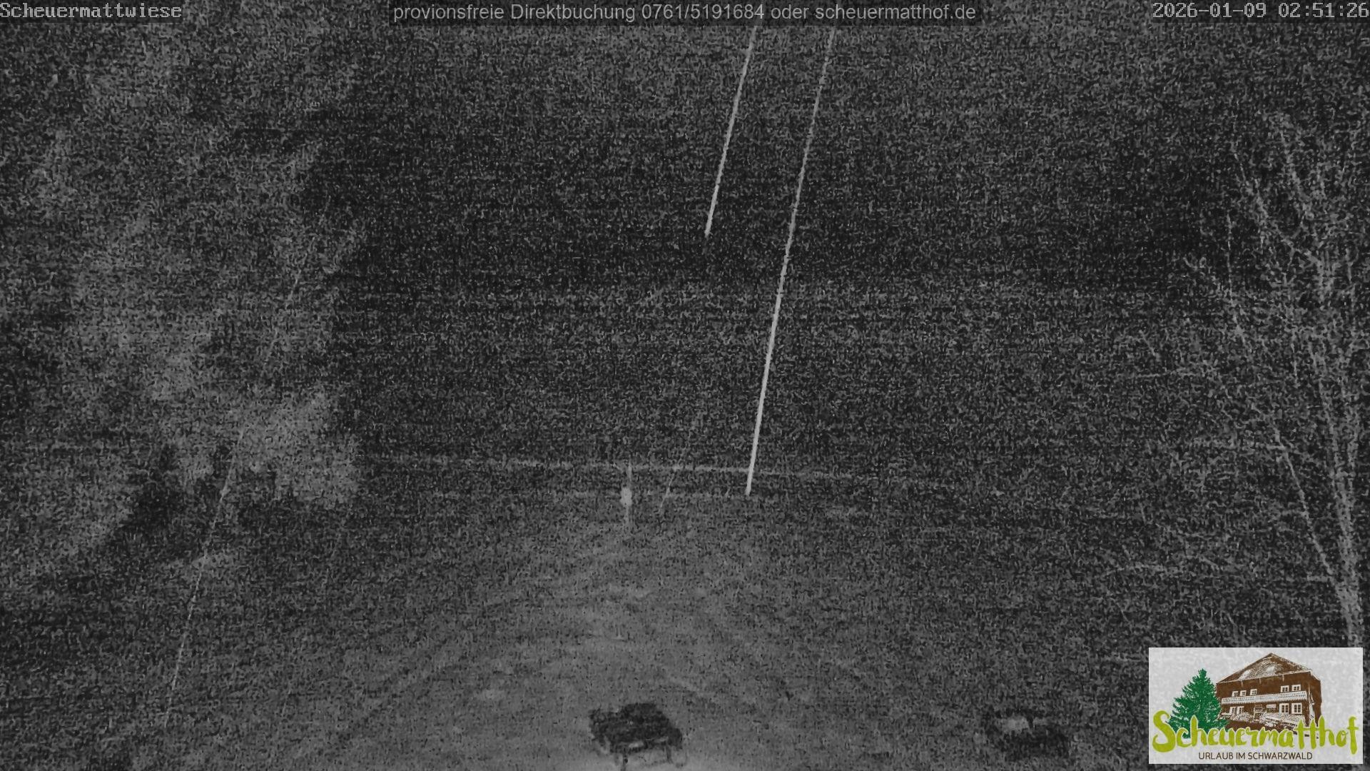 Archiv Foto Webcam Todtnauberg - Scheuermattwiese