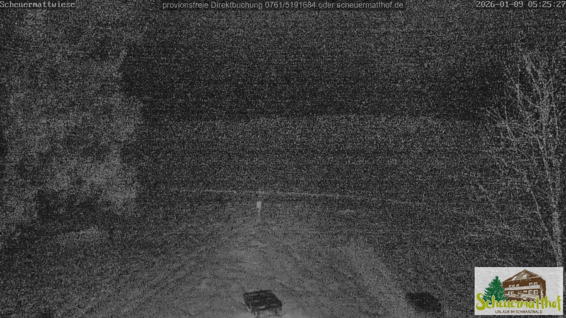 Archiv Foto Webcam Todtnauberg - Scheuermattwiese