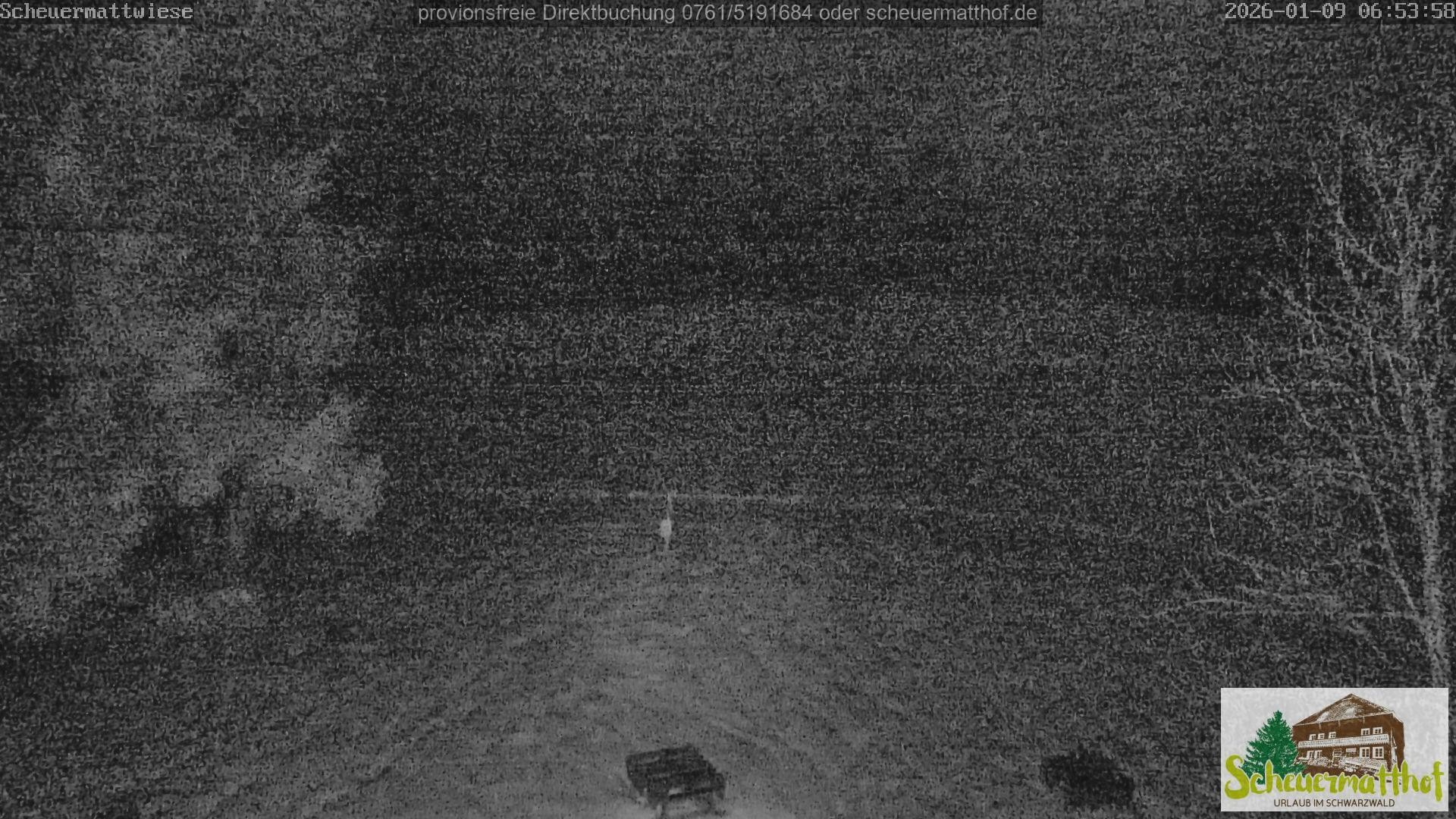 Archiv Foto Webcam Todtnauberg - Scheuermattwiese