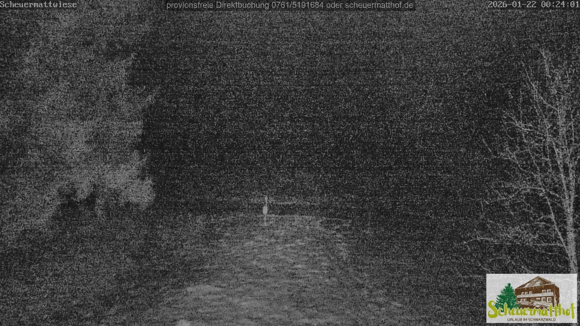 Archiv Foto Webcam Todtnauberg - Scheuermattwiese