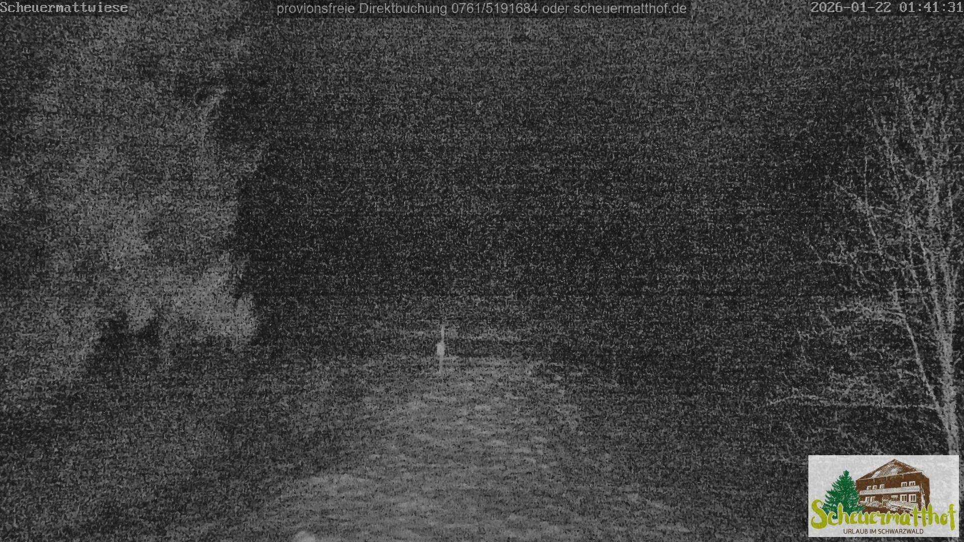 Archiv Foto Webcam Todtnauberg - Scheuermattwiese