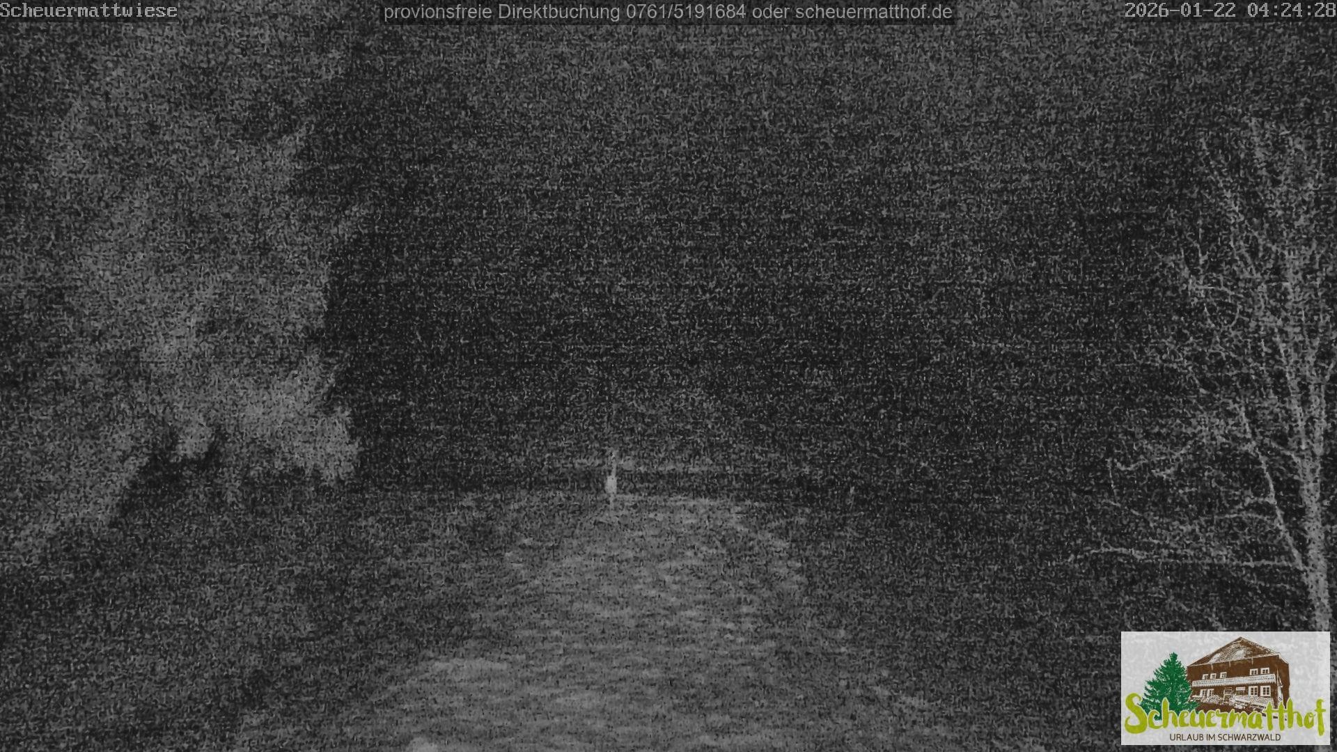 Archiv Foto Webcam Todtnauberg - Scheuermattwiese