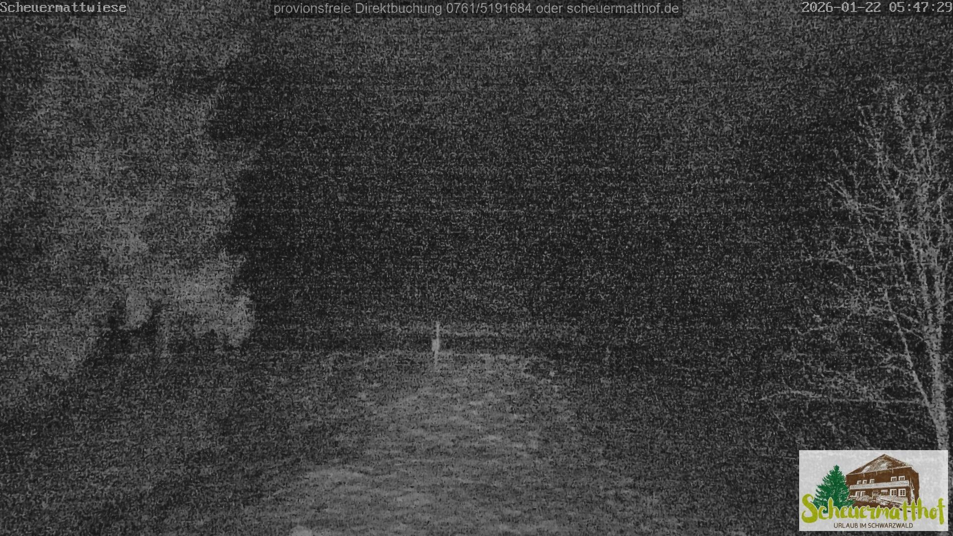 Archiv Foto Webcam Todtnauberg - Scheuermattwiese