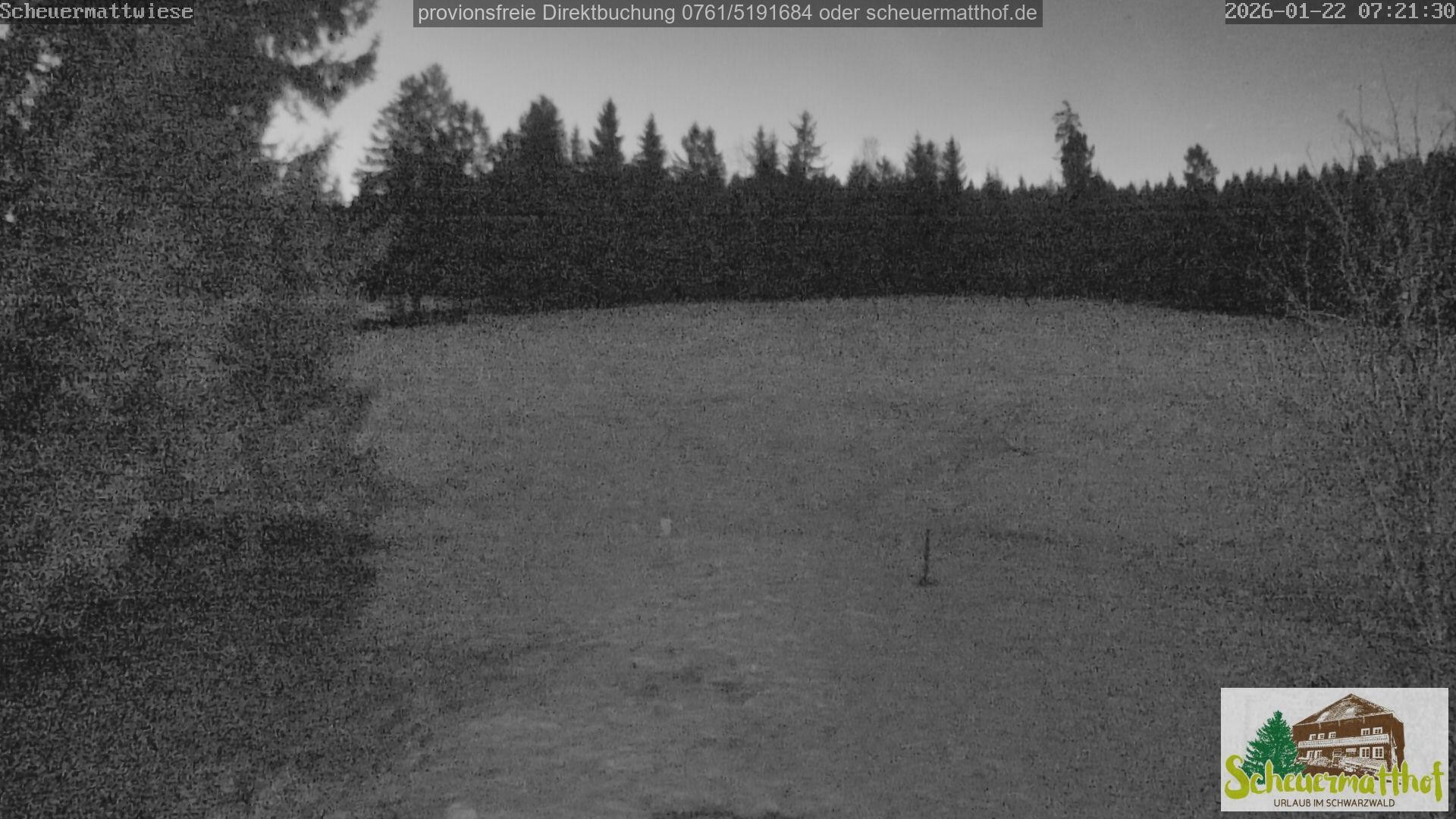 Archiv Foto Webcam Todtnauberg - Scheuermattwiese