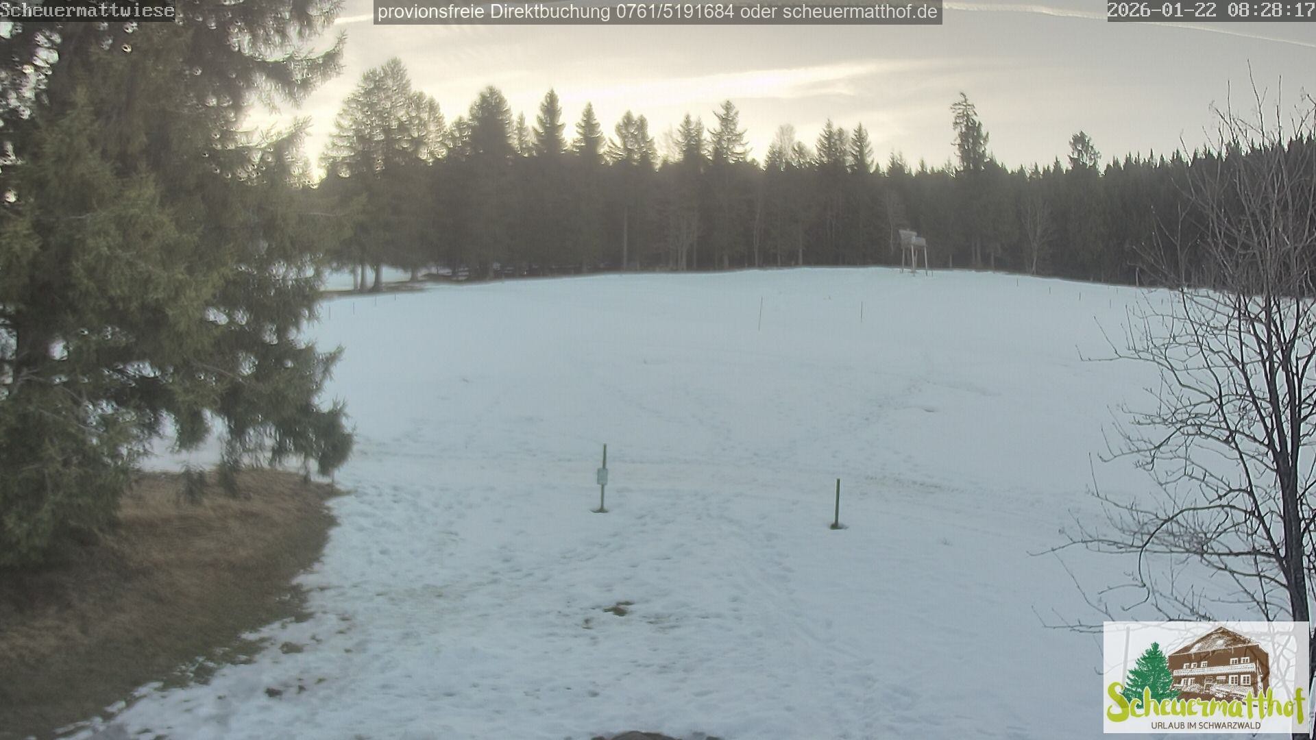 Archiv Foto Webcam Todtnauberg - Scheuermattwiese