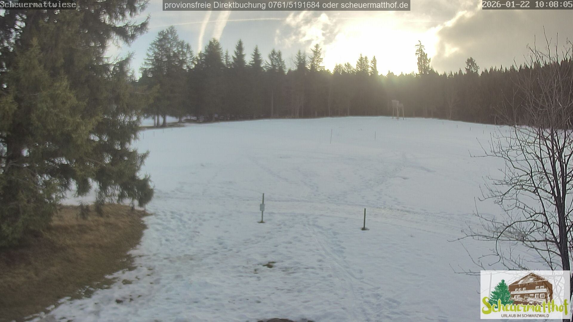 Archiv Foto Webcam Todtnauberg - Scheuermattwiese