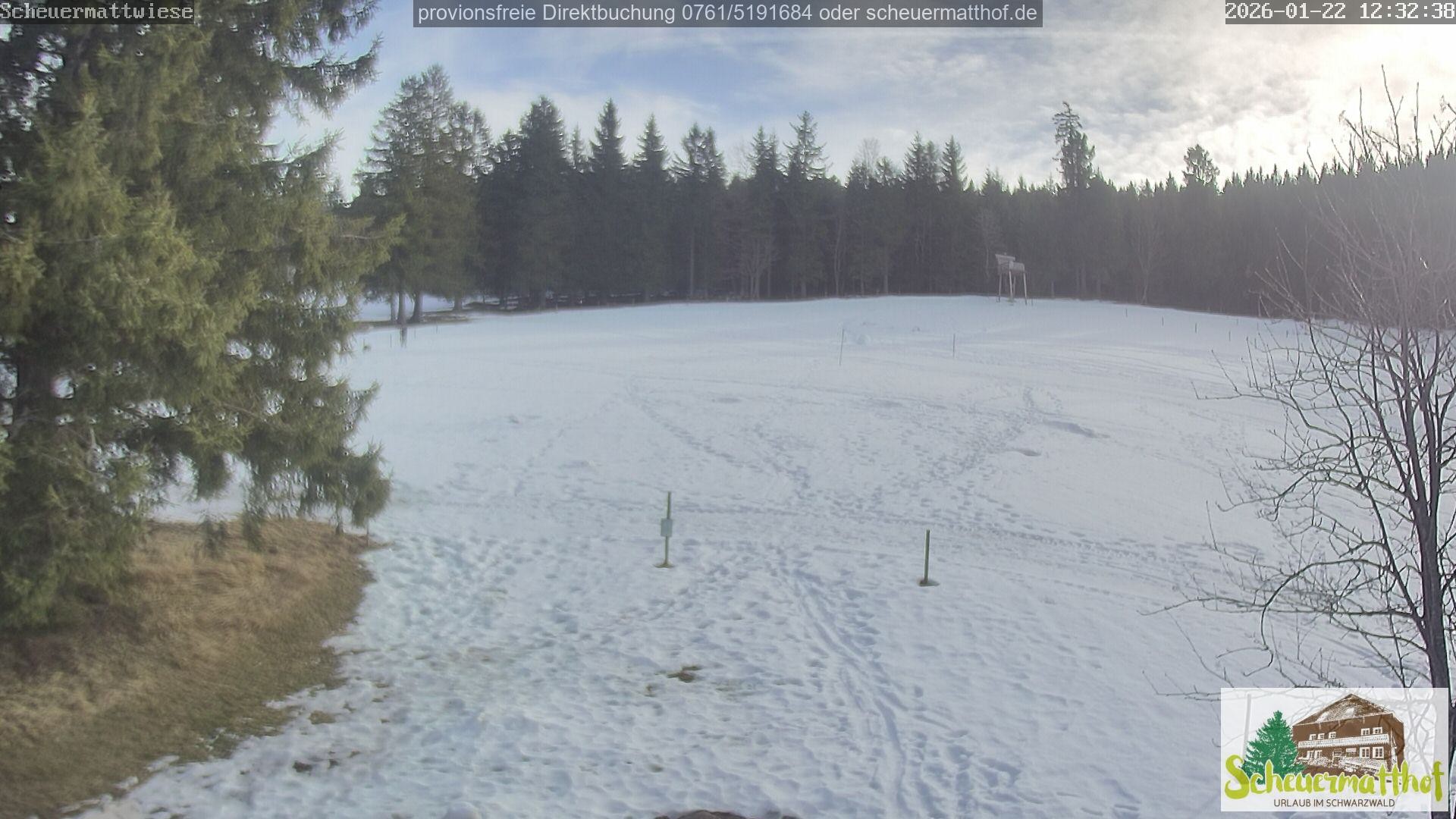 Archiv Foto Webcam Todtnauberg - Scheuermattwiese