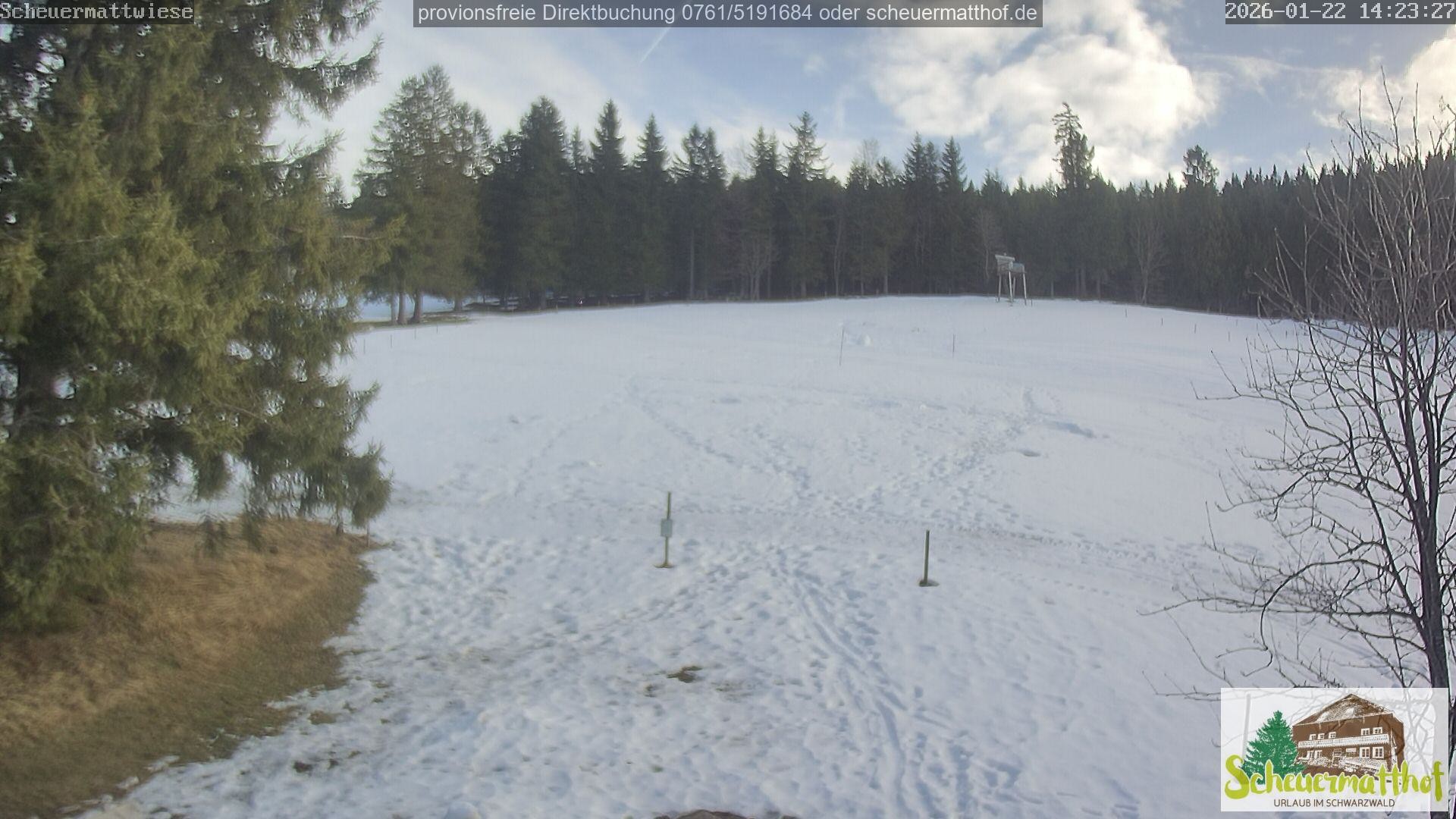 Archiv Foto Webcam Todtnauberg - Scheuermattwiese