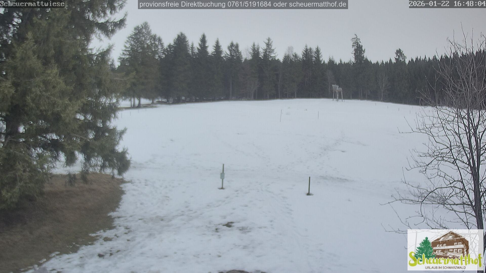 Archiv Foto Webcam Todtnauberg - Scheuermattwiese