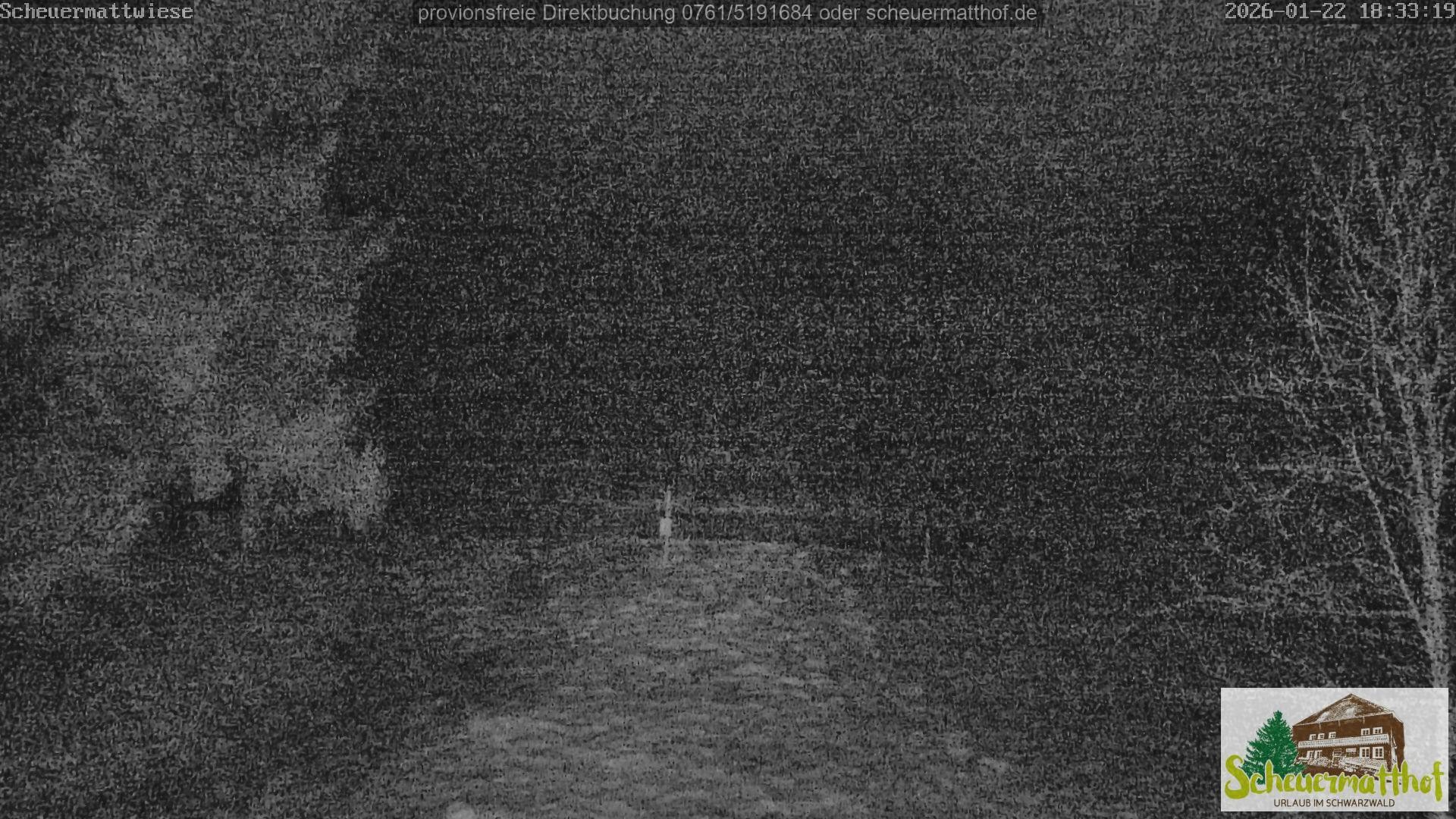 Archiv Foto Webcam Todtnauberg - Scheuermattwiese