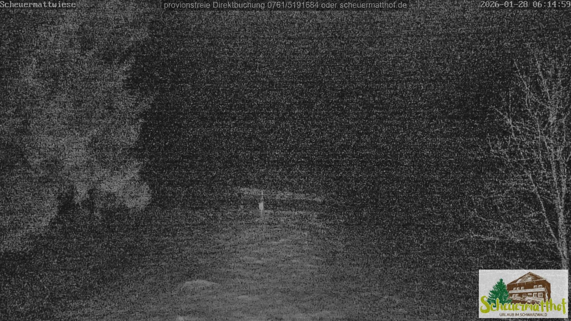 Archiv Foto Webcam Todtnauberg - Scheuermattwiese