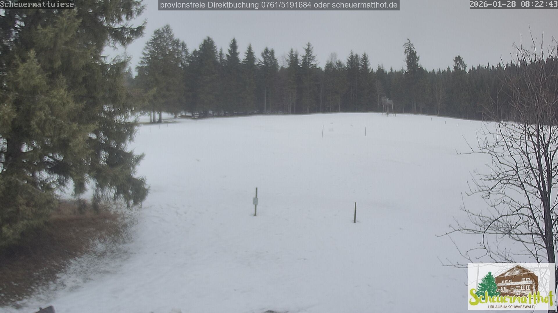 Archiv Foto Webcam Todtnauberg - Scheuermattwiese