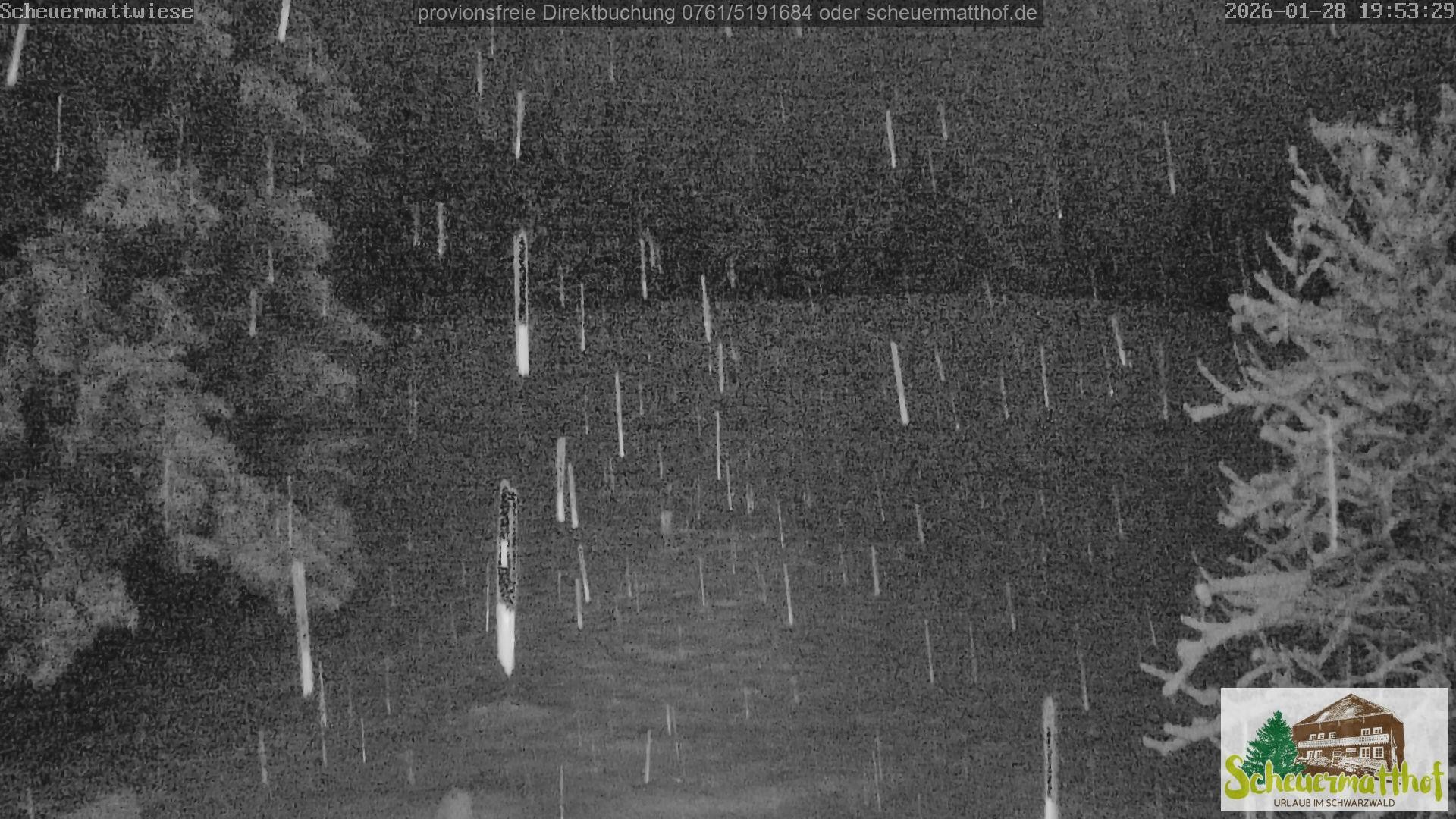 Archiv Foto Webcam Todtnauberg - Scheuermattwiese