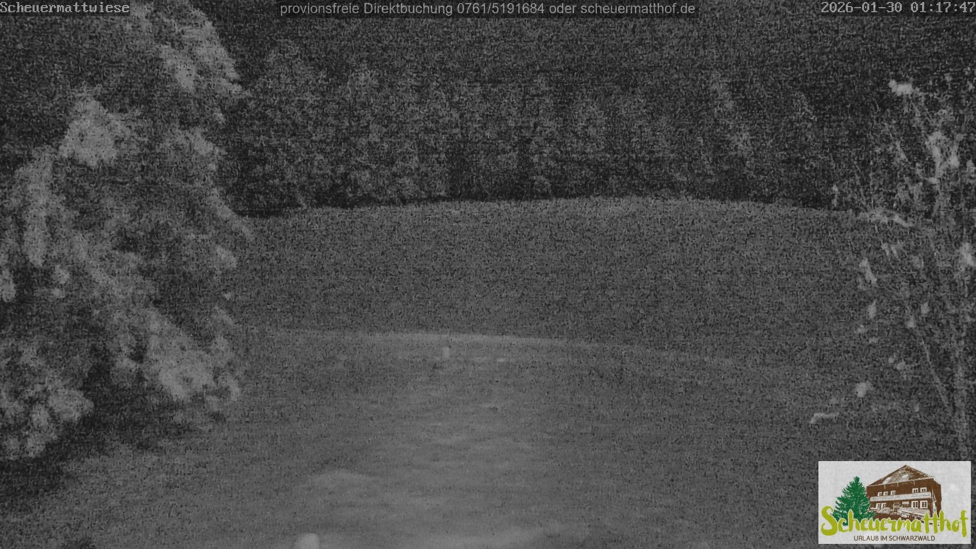 Archiv Foto Webcam Todtnauberg - Scheuermattwiese