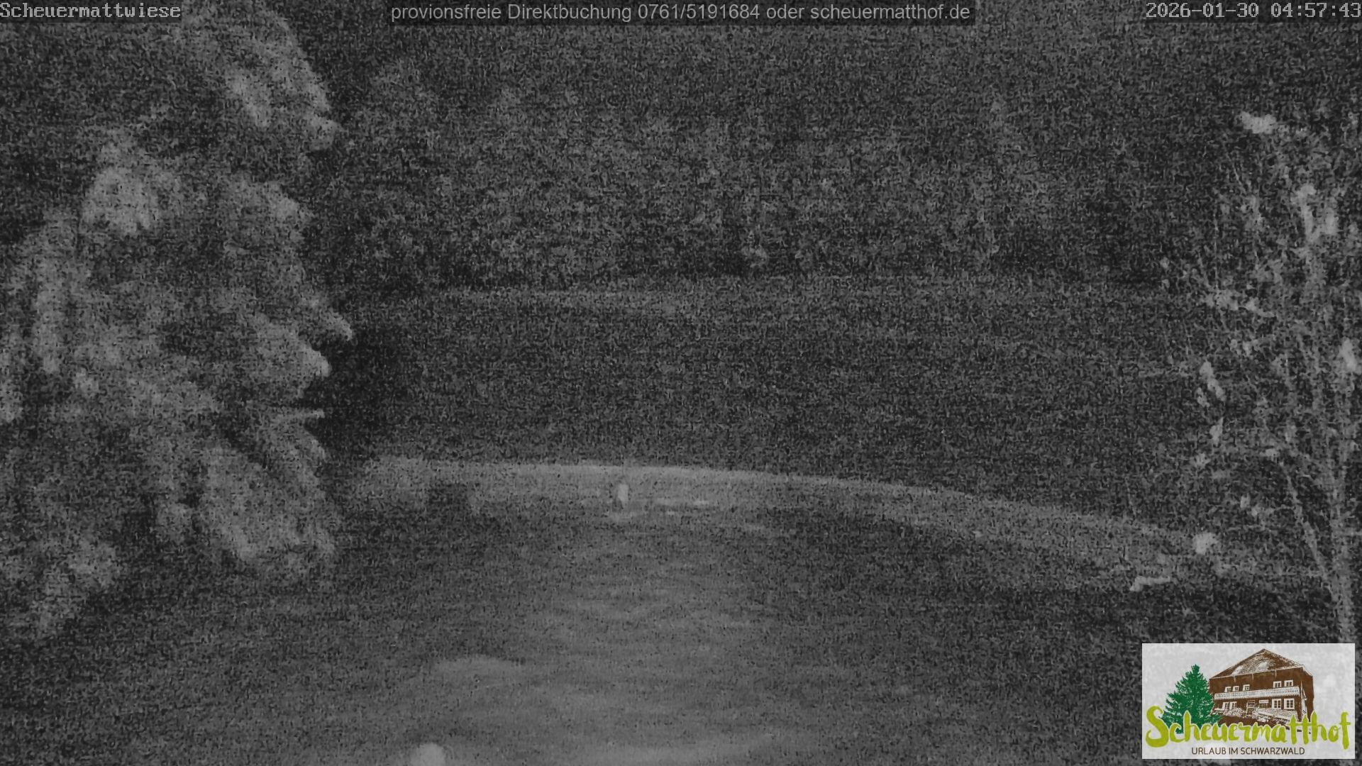 Archiv Foto Webcam Todtnauberg - Scheuermattwiese