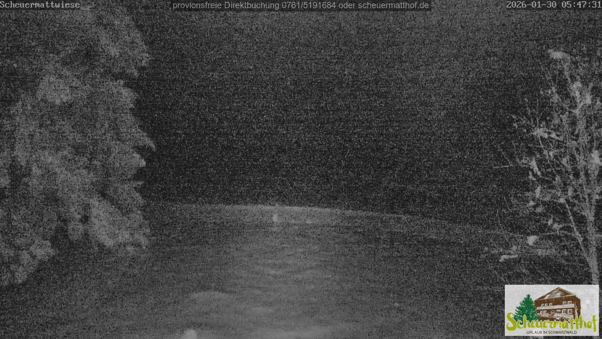 Archiv Foto Webcam Todtnauberg - Scheuermattwiese