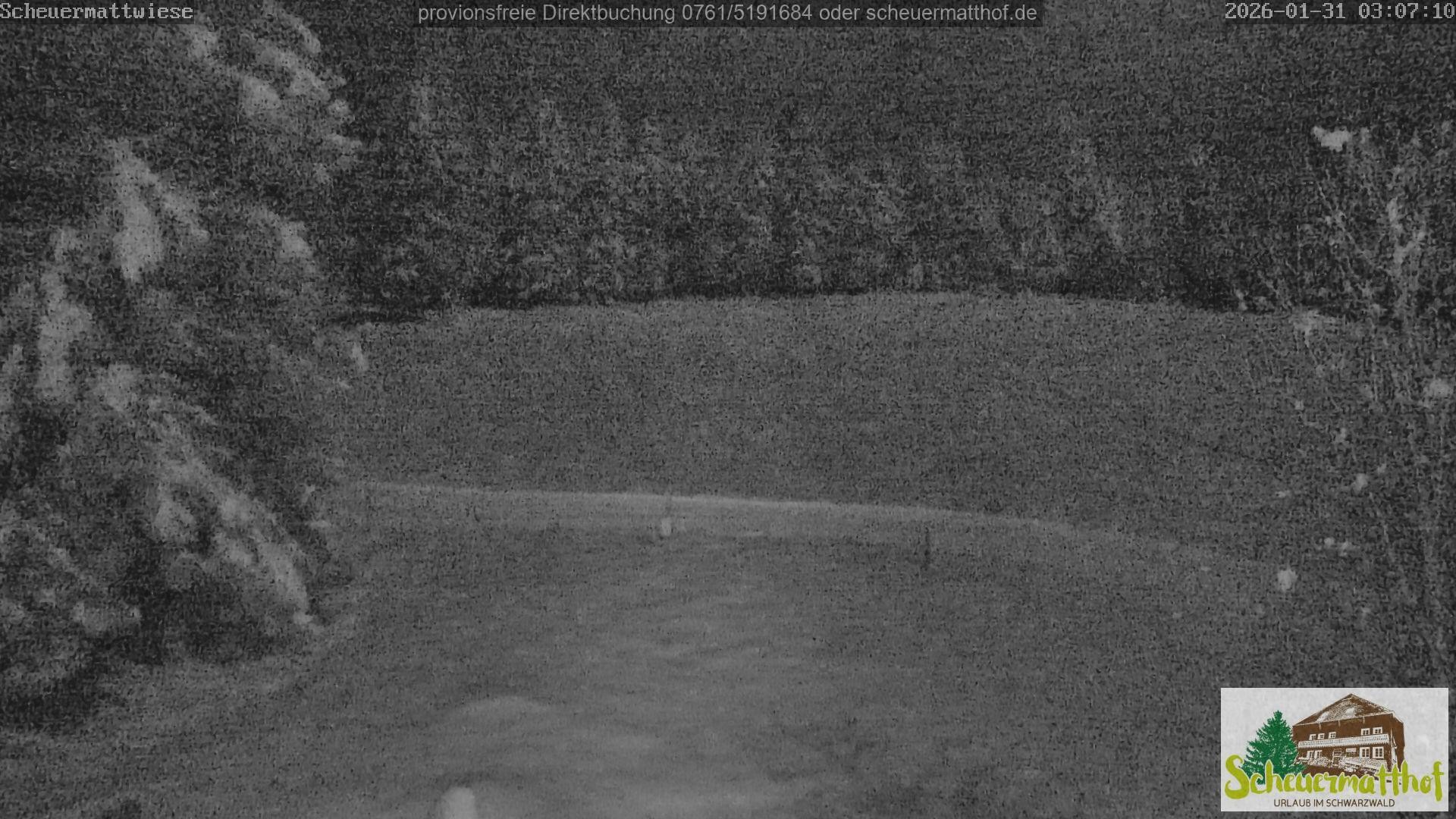 Archiv Foto Webcam Todtnauberg - Scheuermattwiese