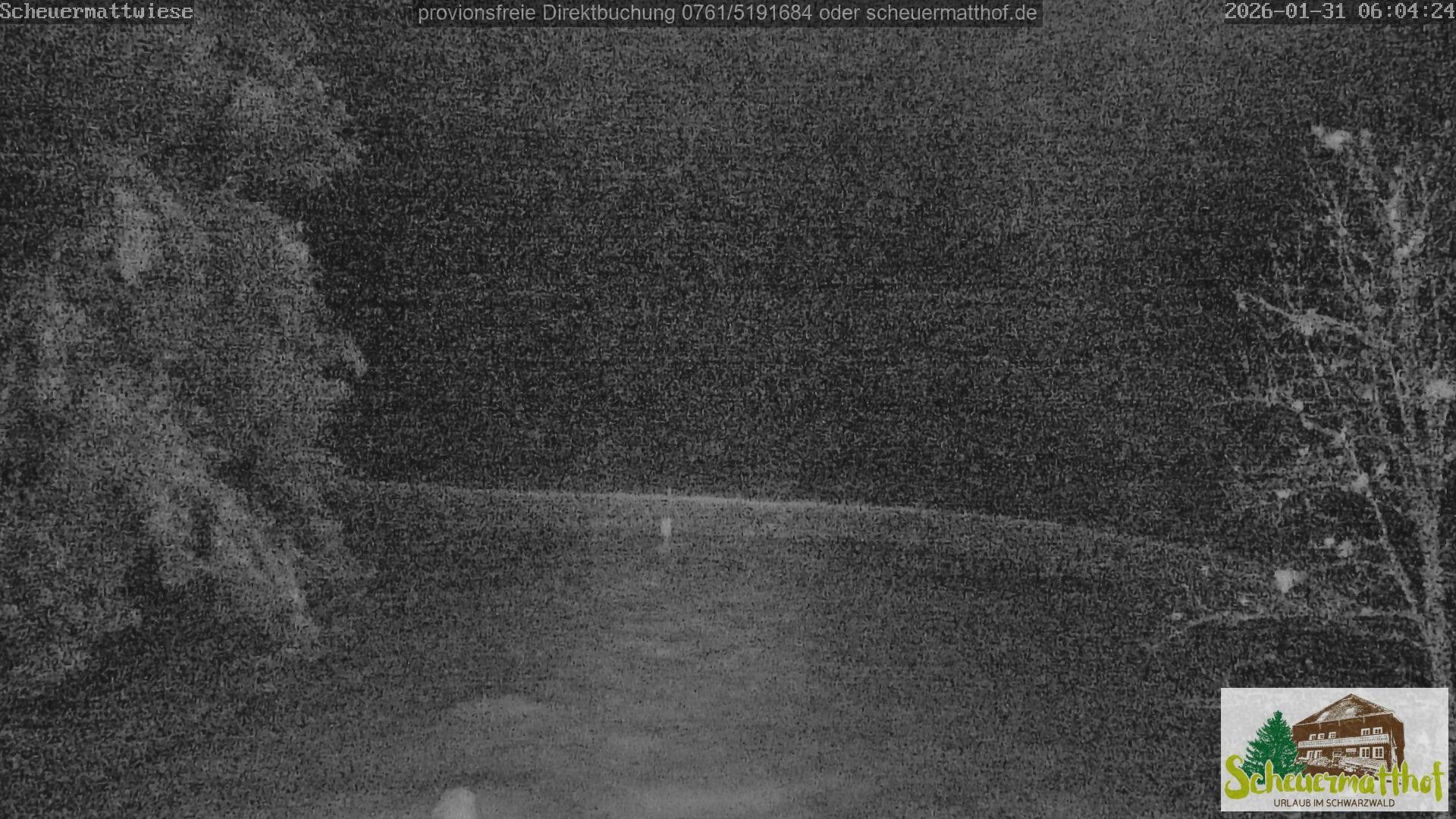 Archiv Foto Webcam Todtnauberg - Scheuermattwiese