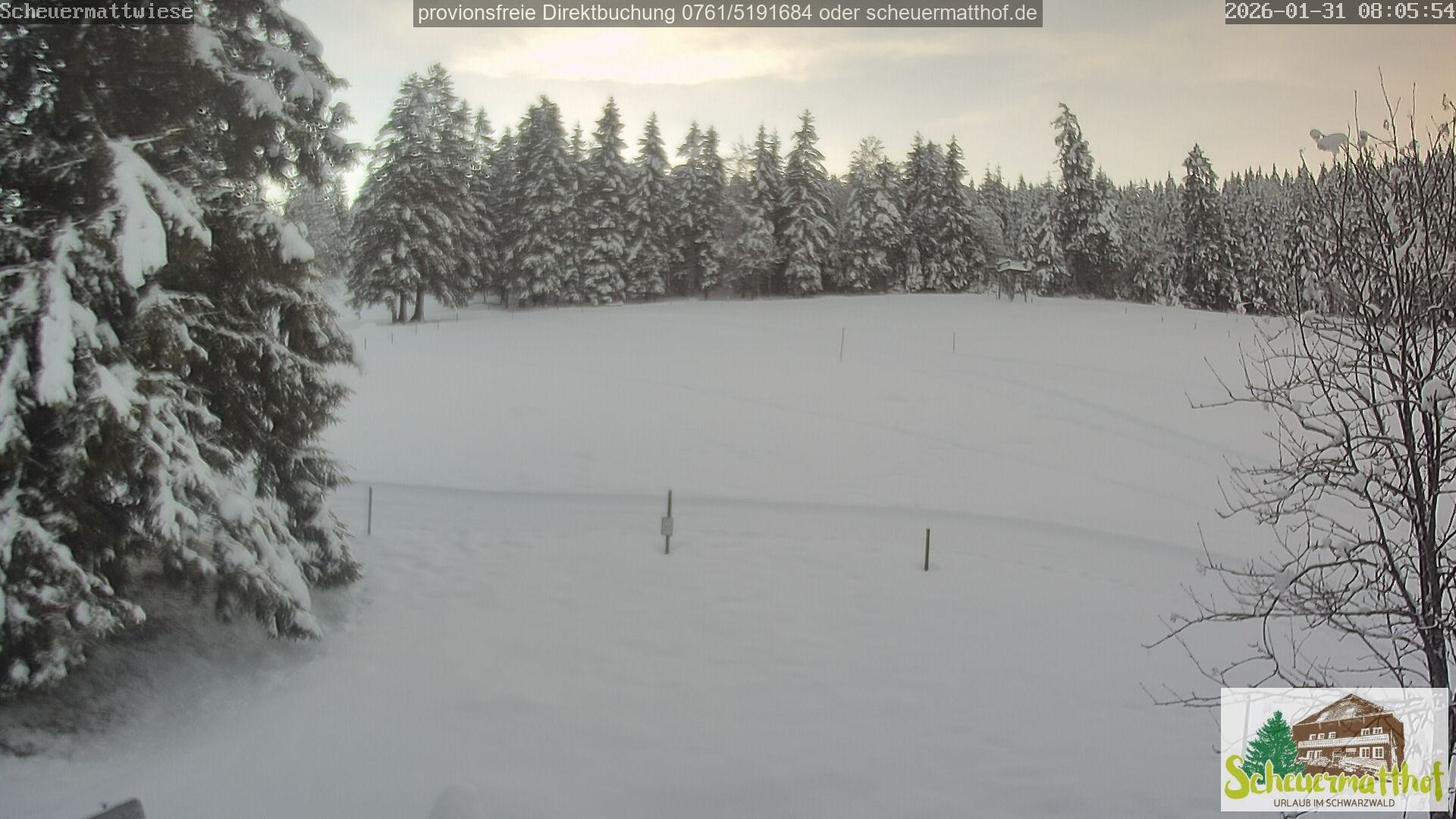 Archiv Foto Webcam Todtnauberg - Scheuermattwiese