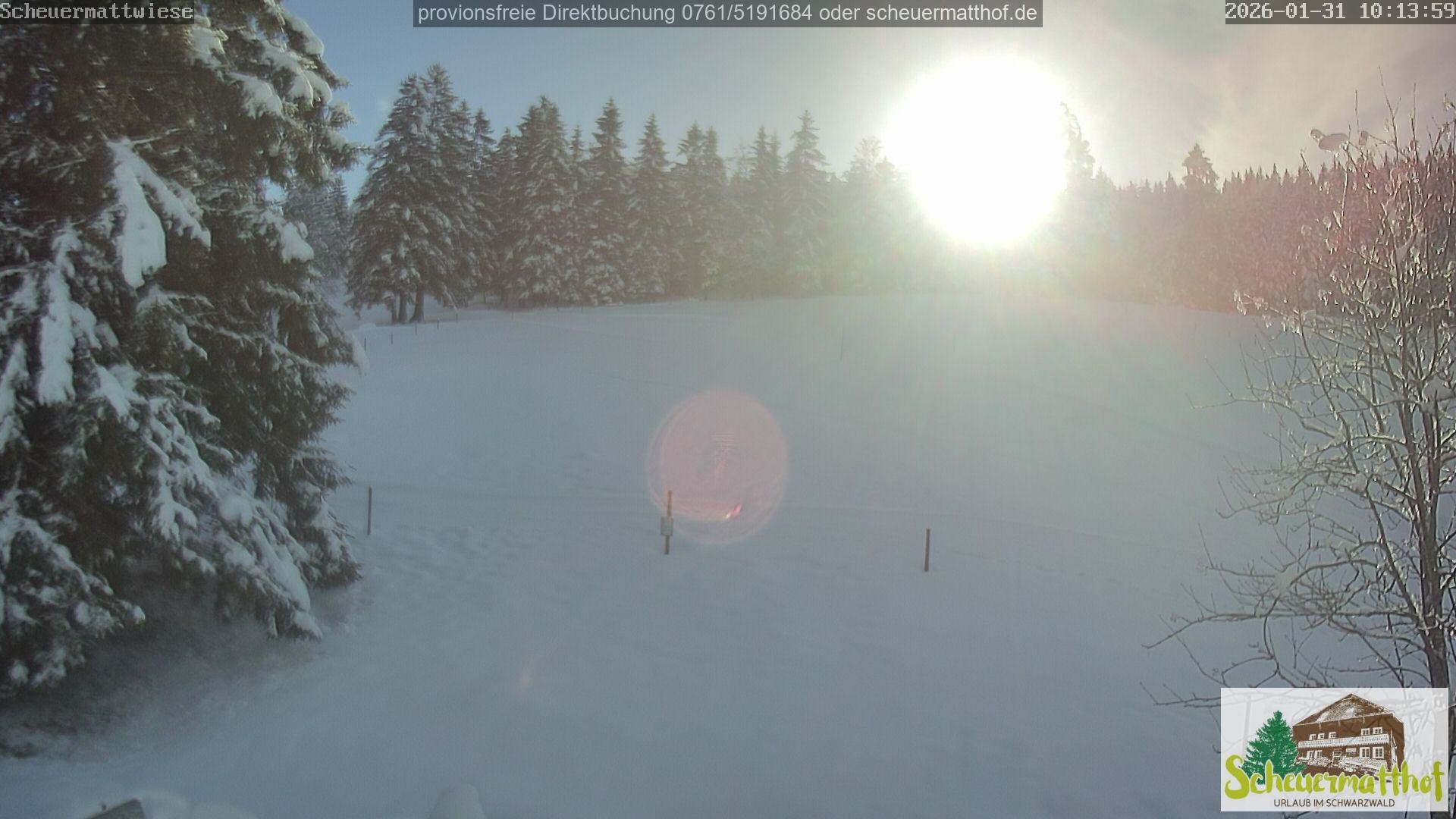 Archiv Foto Webcam Todtnauberg - Scheuermattwiese