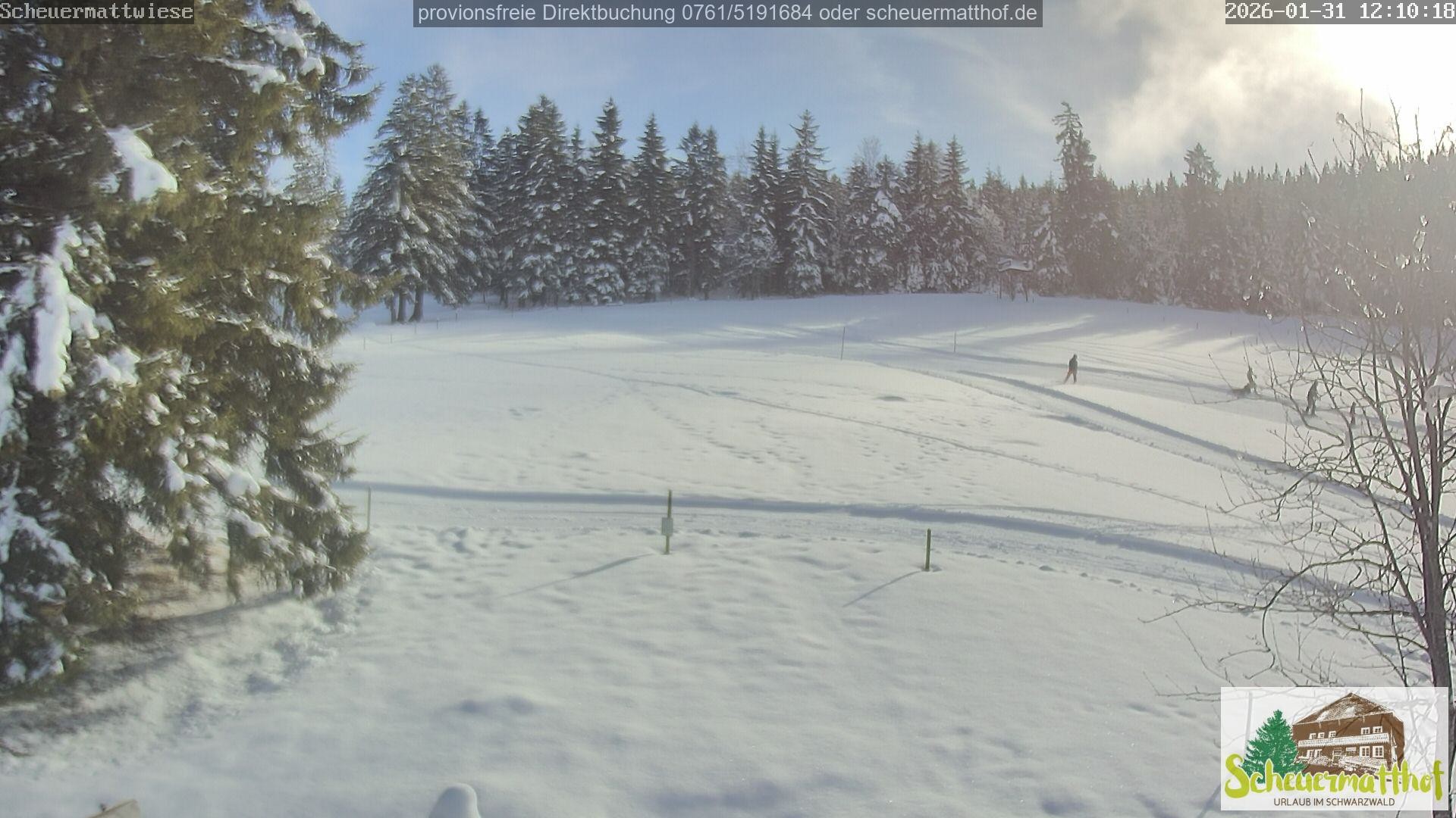 Archiv Foto Webcam Todtnauberg - Scheuermattwiese